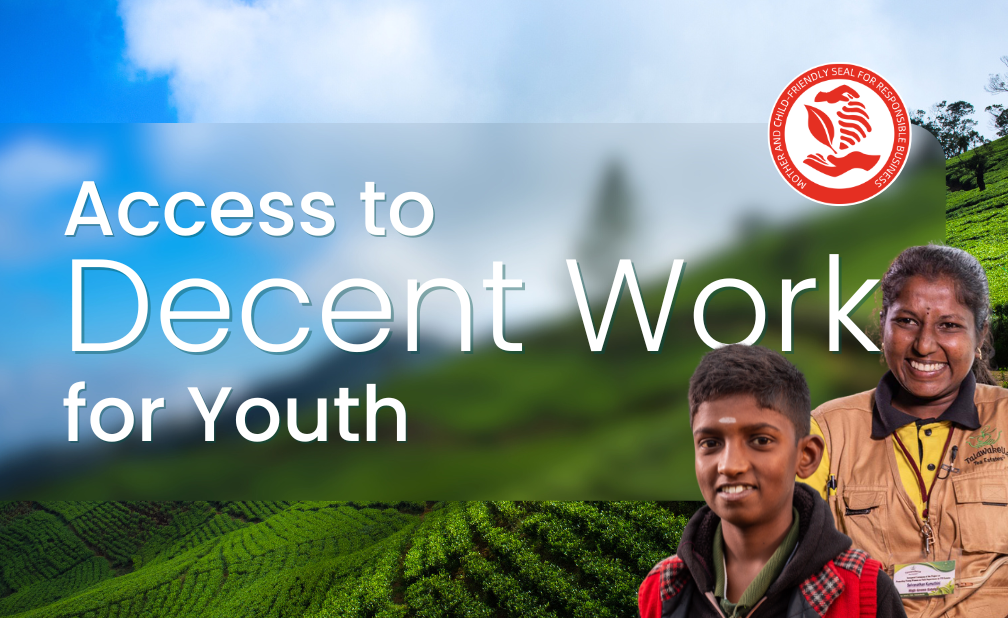 Where are the Youth? Access to Decent Work for Youth in Sri Lanka’s Tea and Tourism Sectors