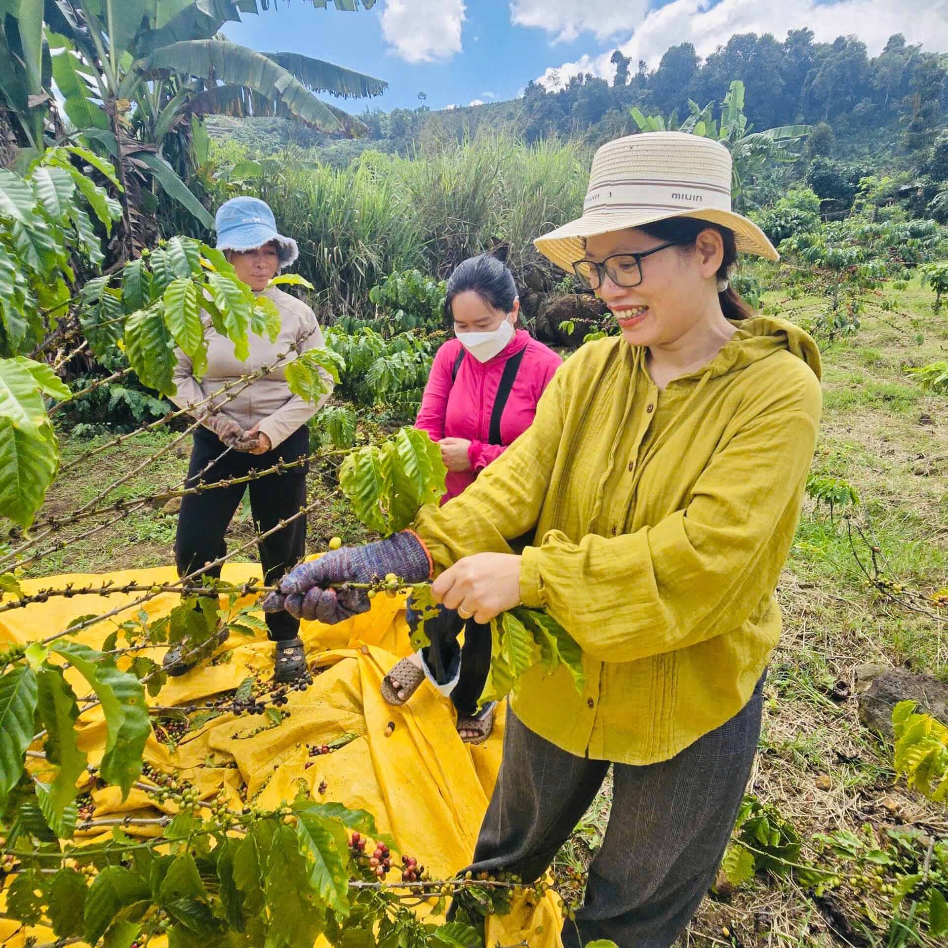 Project staff in Vietnam getting a hands-on feel for coffee production